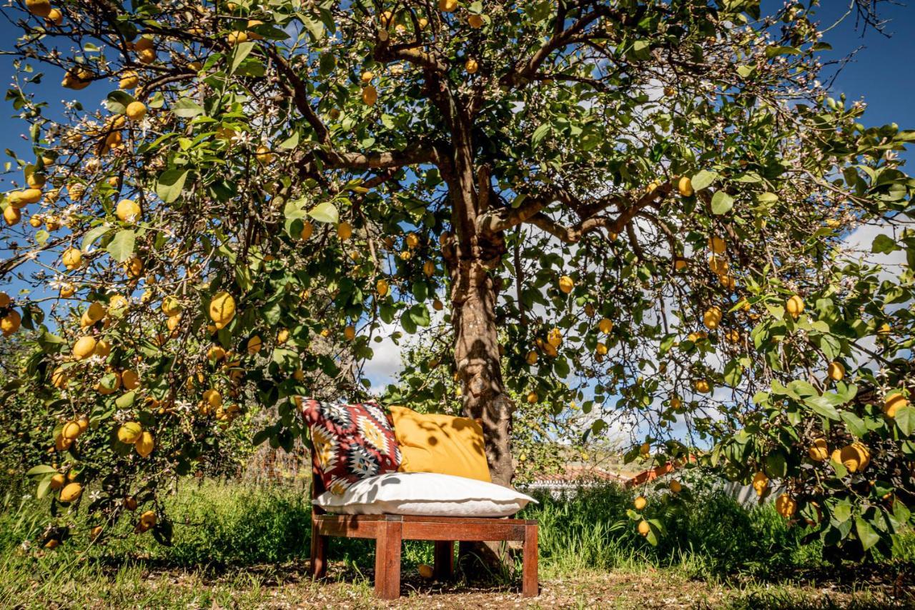 Finca El Limonar Эль-Чорро Экстерьер фото