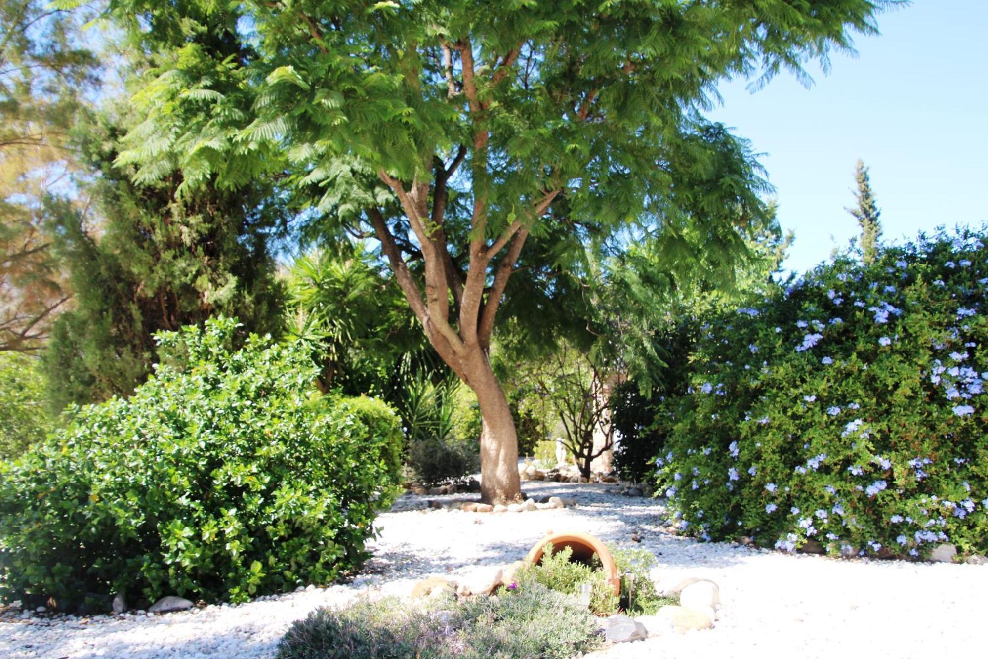 Finca El Limonar Эль-Чорро Экстерьер фото